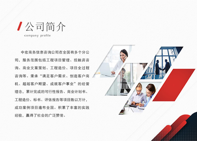 岳陽(yáng)信息技術(shù)咨詢服務(wù)項(xiàng)目策劃與招商計(jì)劃書(shū)